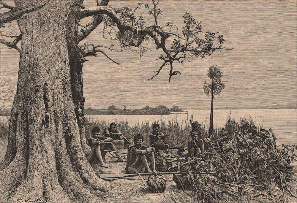 Zambezi/Chobe Confluence. Impalila Island. Zambia Botswana Namibia 1885 print